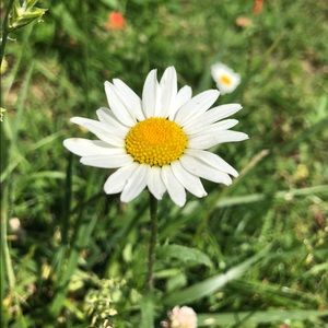 Meet your Posher, Bridgette